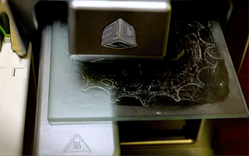 A 3D printer printing the logo of the U.S. National Science Foundation.