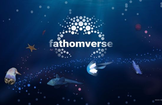 FathomVerse logo