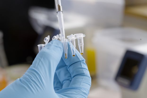 Close-up of a gloved hand pipetting liquid into small test tubes